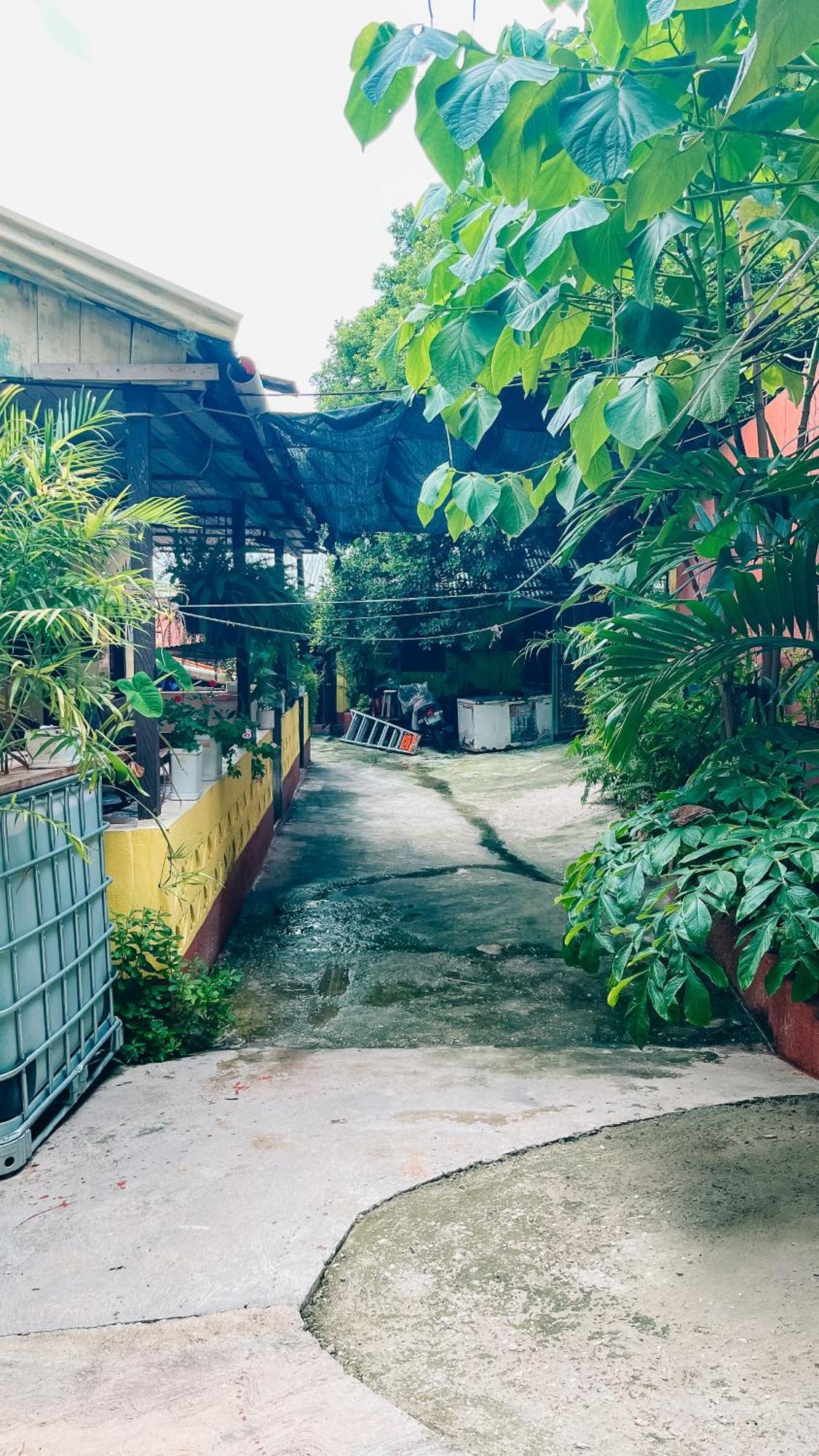 Zazil Ha Hostel Эль-Ремате Экстерьер фото